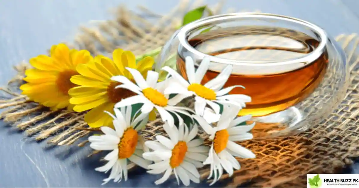 Does Chamomile Tea Have Caffeine? Best Chamomile Tea. A cup of chamomile tea with chamomile flowers