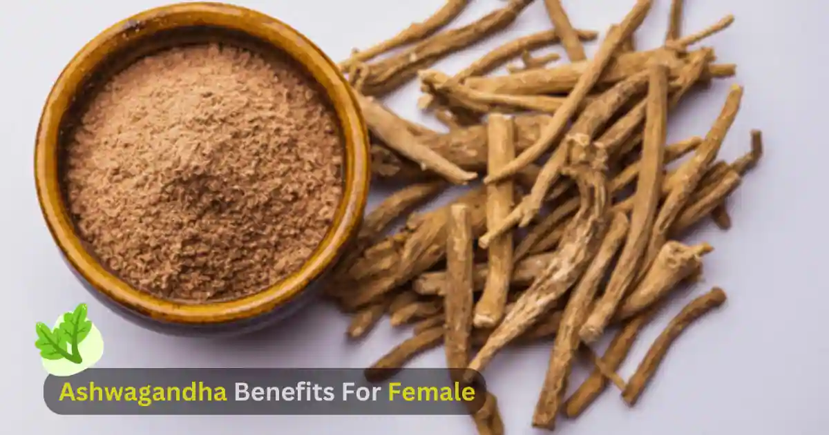 Ashwagandha benefits for female