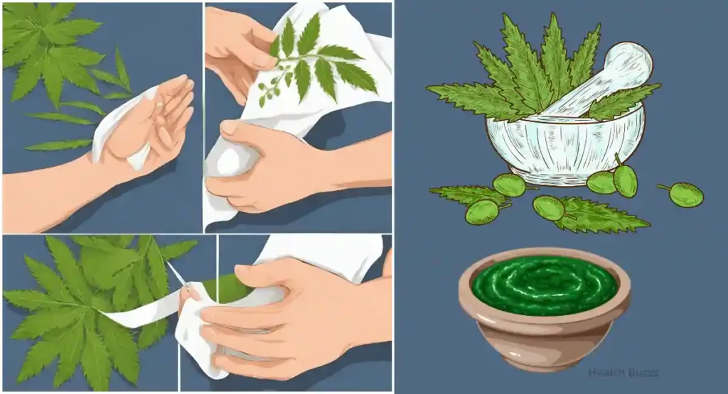 How to Make Neem Paste for Fungal Infections: A Natural Antifungal Remedy