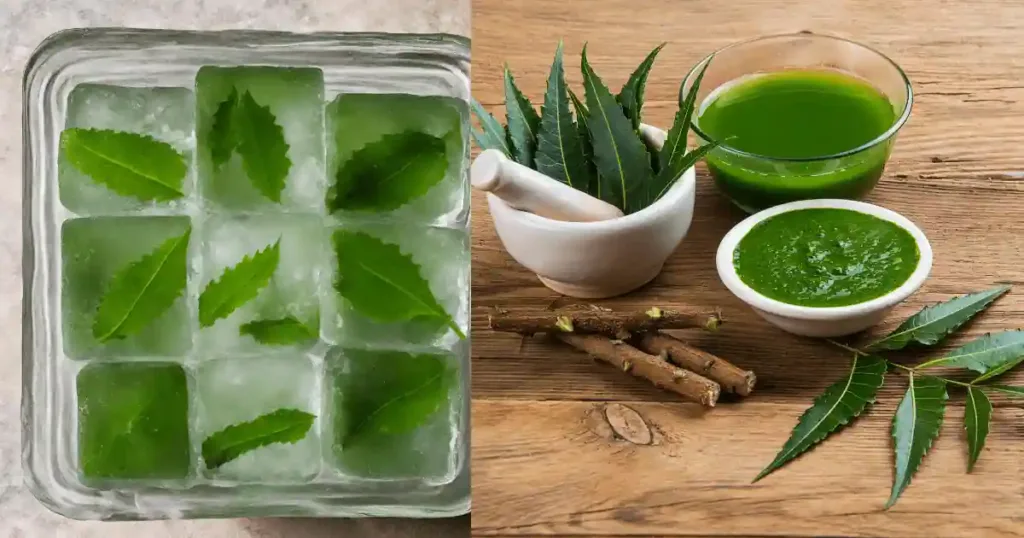 Neem Ice Cubes for Acne