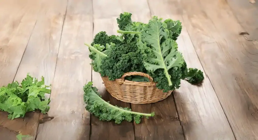 Kale- dark green leafy vegetable