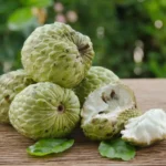 What Is A Custard Apple