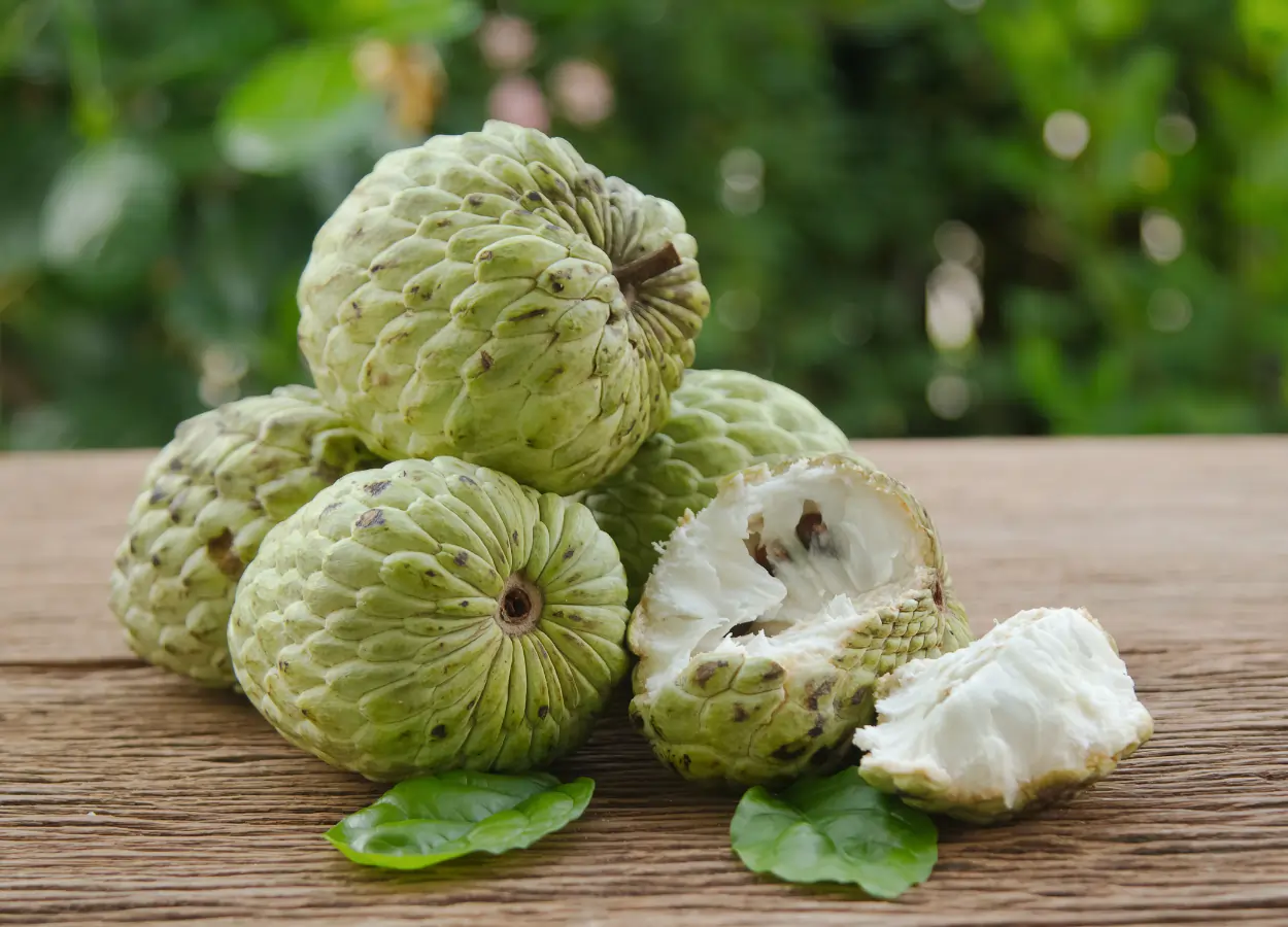 What Is A Custard Apple